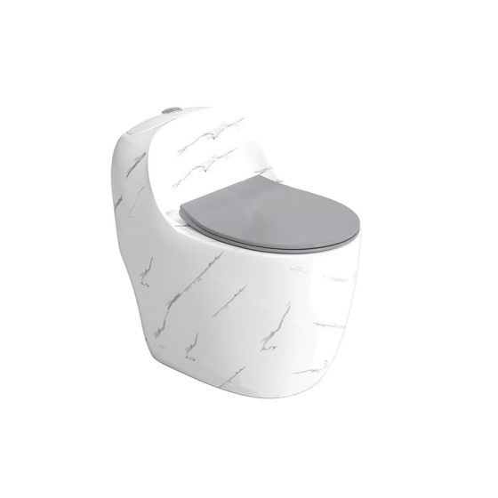 LT-1355-DP-WLG patterned one-piece-toilets