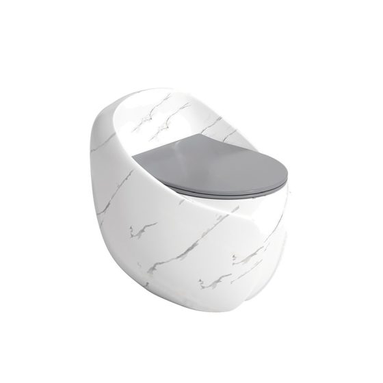 LT-1356-DP-WLG white one-piece-toilets