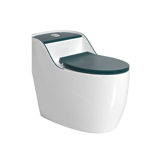 LT-1359-CG-BGW patterned one-piece-toilets
