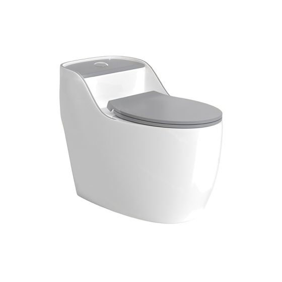 LT-1359-CG-LGWSGL patterned one-piece-toilets