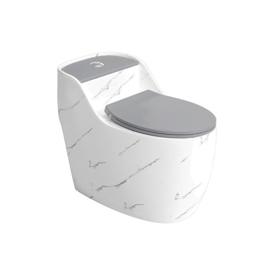 LT-1359-DP-WLG patterned one-piece-toilets