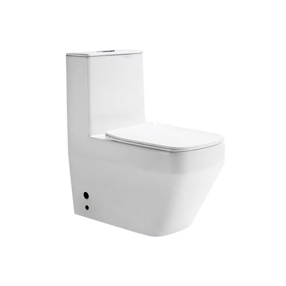 LT-1364 white one-piece-toilets