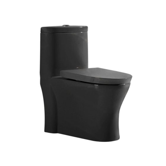 LT-1691-CG-N black one-piece-toilets