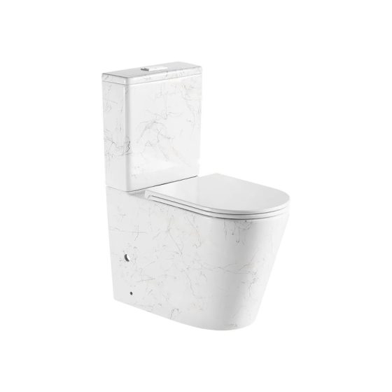 LT-202-DP-CT1 white two-piece-toilets