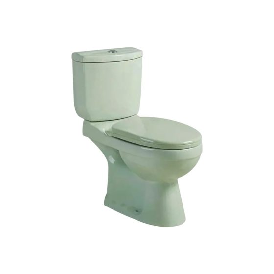 LT-231-CG-AG patterned two-piece-toilets