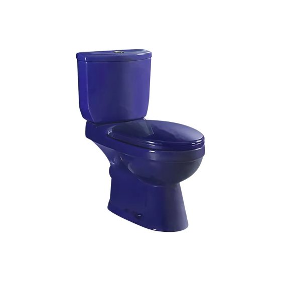 LT-231-CG-BV patterned two-piece-toilets