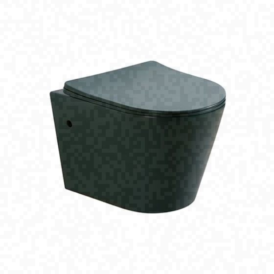 LT-402W-M-BG black wall-hung-toilets