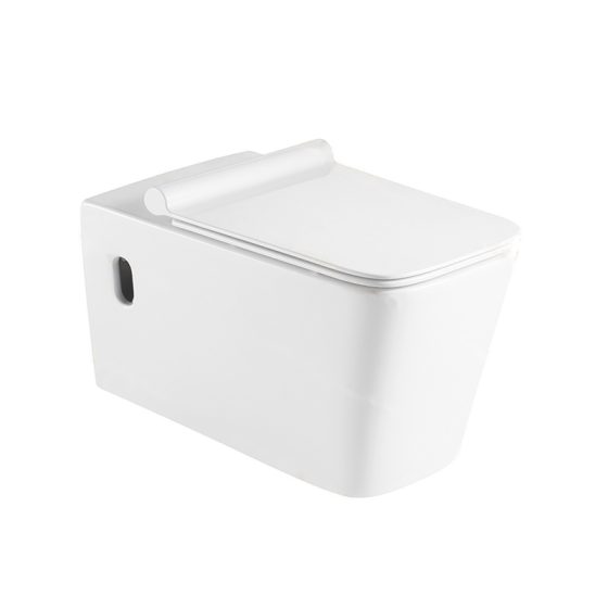LT-403W-2 white wall-hung-toilets