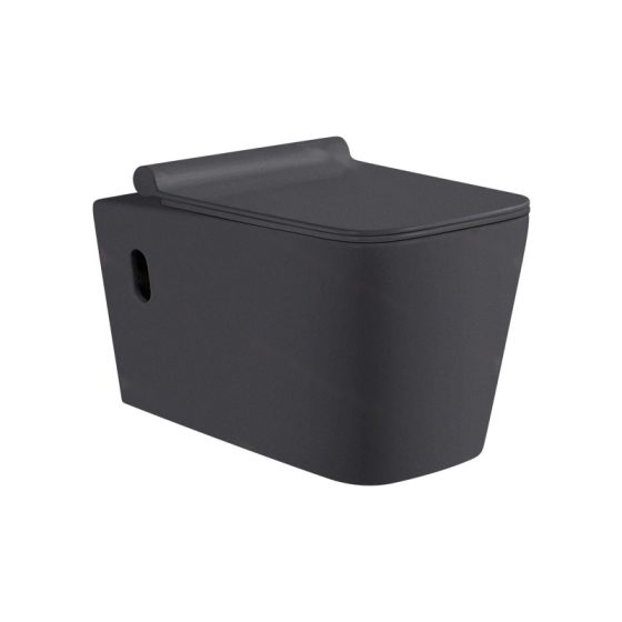 LT-403W-M-DG black wall-hung-toilets
