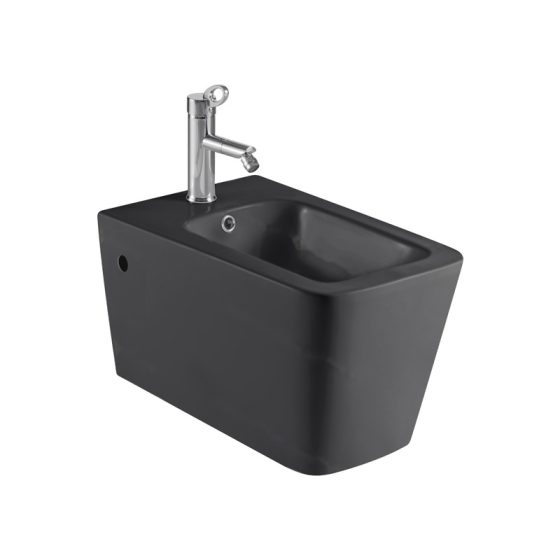 LT-403WB-M-DG--bidet black bidets