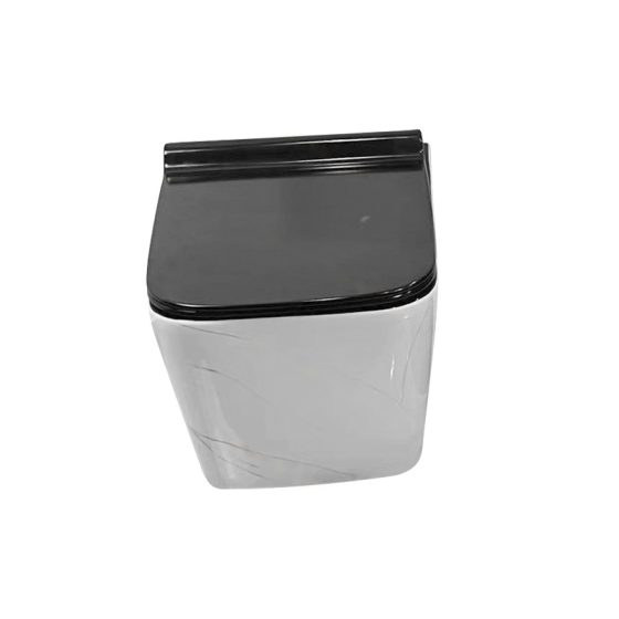 LT-454W-CS-WBL grey wall-hung-toilets