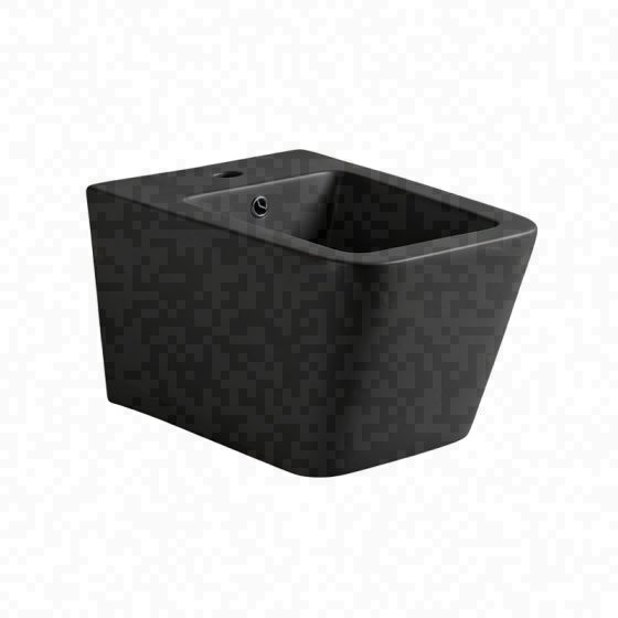 LT-454WB-M-DG--bidet black bidets