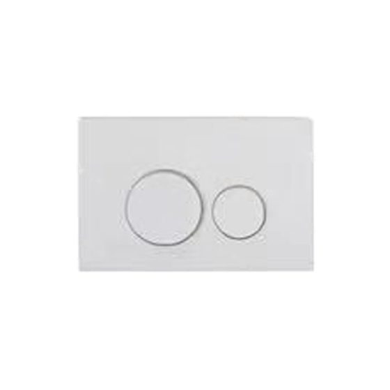 LT-604---ABS白色 white flush-valves