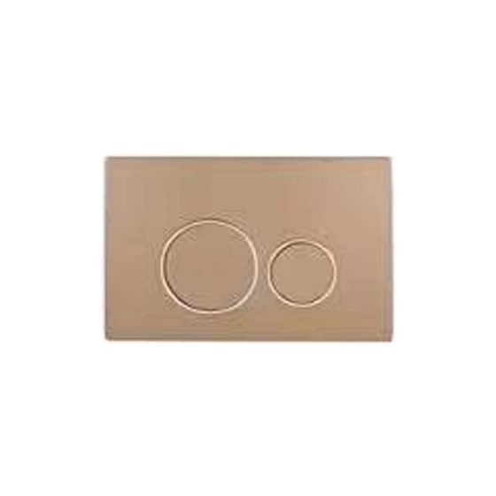 LT-604---ABS土豪金 white flush-valves