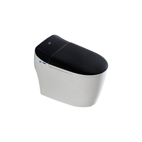 LT-TO-1002-B-WQB black smart-toilets