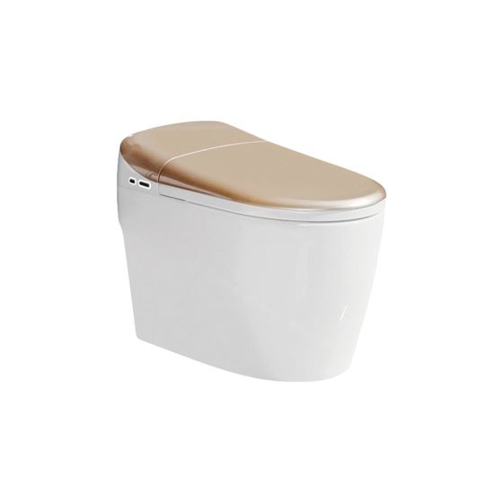 LT-TO-1002-C-G colored smart-toilets