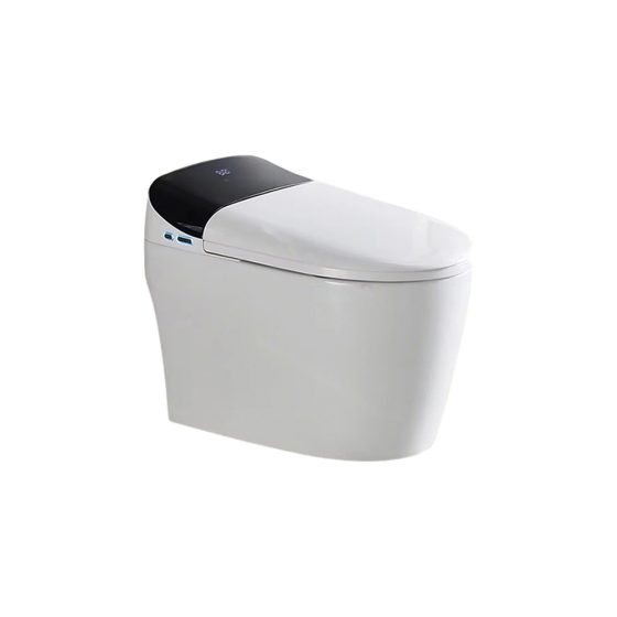 LT-TO-1002-C-WB patterned smart-toilets