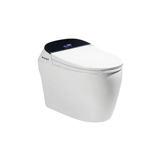 LT-TO-1003-C white smart-toilets