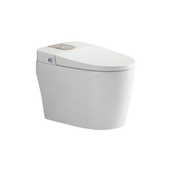 LT-TO-1010-C-WPG white smart-toilets
