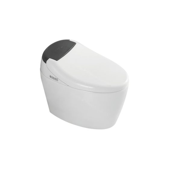 LT-TO-1012-C white smart-toilets