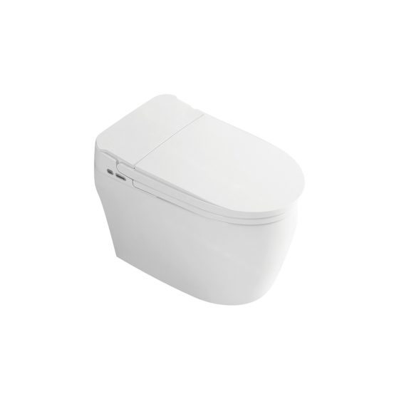LT-TO-1018-WB white smart-toilets