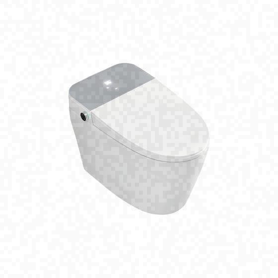 LT-TO-1019-B-LP white smart-toilets