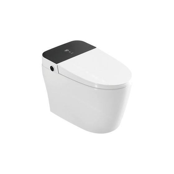 LT-TO-1019-D-BL white smart-toilets