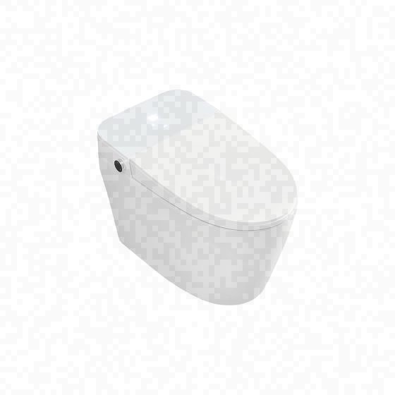 LT-TO-1019-D-W white smart-toilets