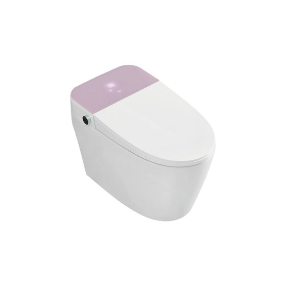 LT-TO-1019-WD-P white smart-toilets