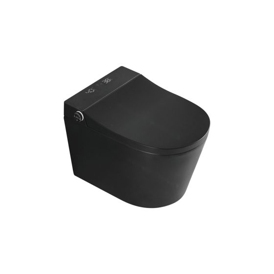 LT-TO-1020-B-MBL black smart-toilets