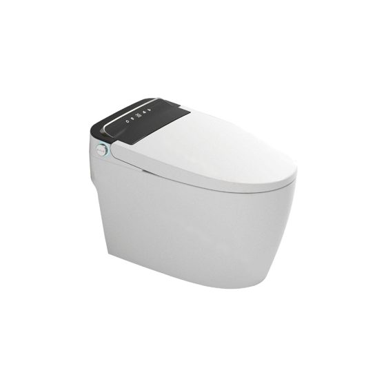 LT-TO-1022-WC-BS patterned smart-toilets