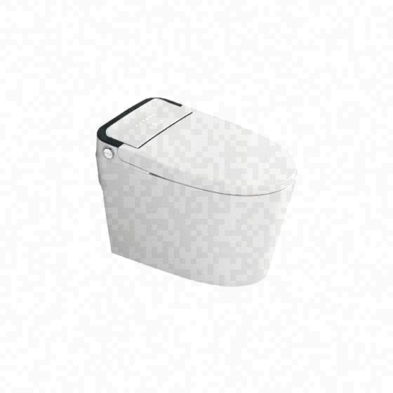 LT-TO-1024-C-DG white smart-toilets