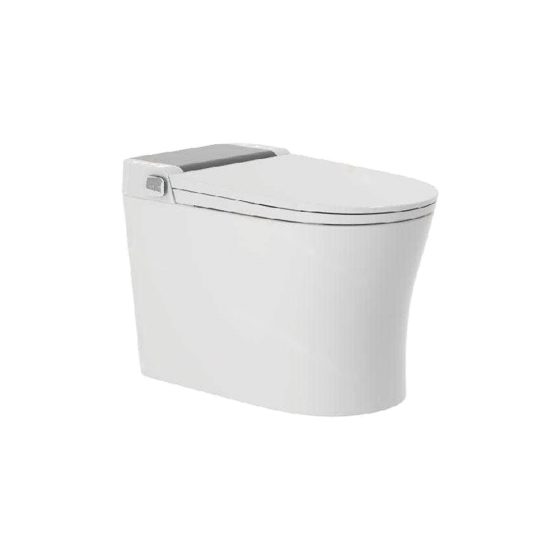LT-TO-1025-WC-GG white smart-toilets