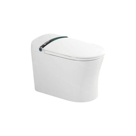 LT-TO-1026-C-BLG white smart-toilets