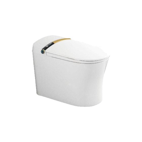 LT-TO-1026-WC-BLGO white smart-toilets