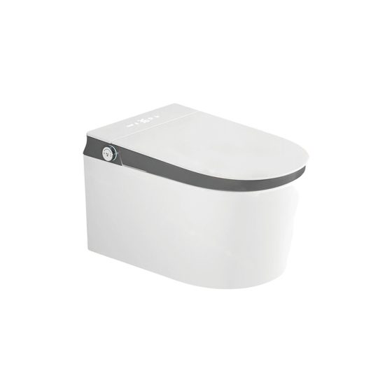 LT-TO-1027-WC-WDG white smart-toilets