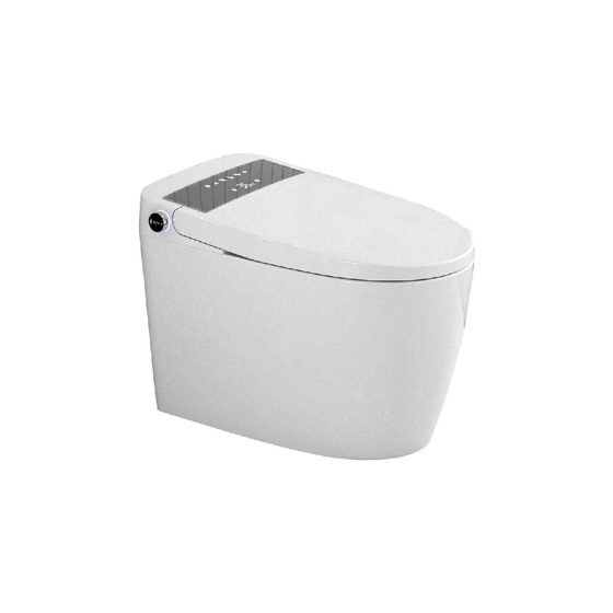 LT-TO-1030-WC-GR white smart-toilets