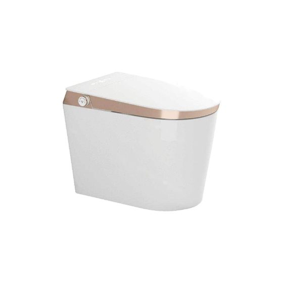 LT-TO-1031-WB-GO white smart-toilets