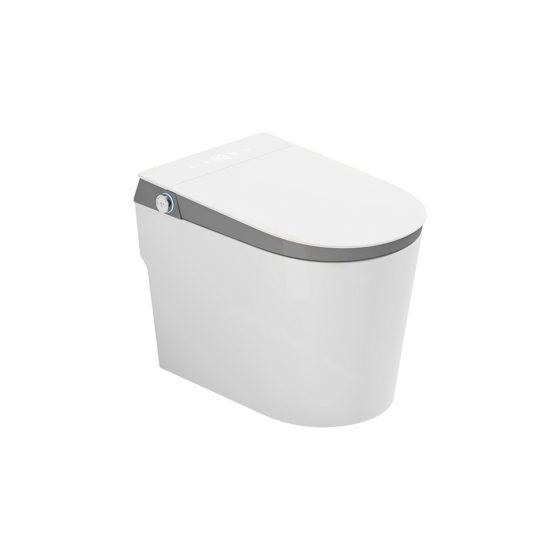 LT-TO-1031-WB-GR white smart-toilets
