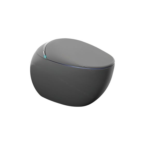 LT-TO-1035-WB-GR black smart-toilets