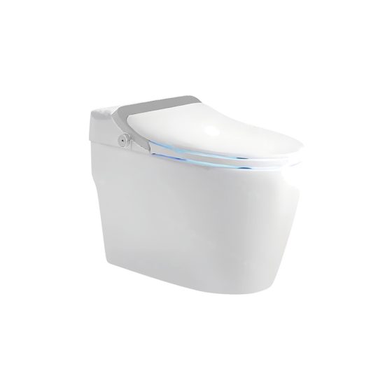 LT-TO-1036-WC-GR white smart-toilets