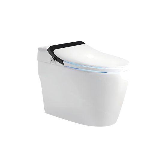 LT-TO-1036-WD-BL patterned smart-toilets