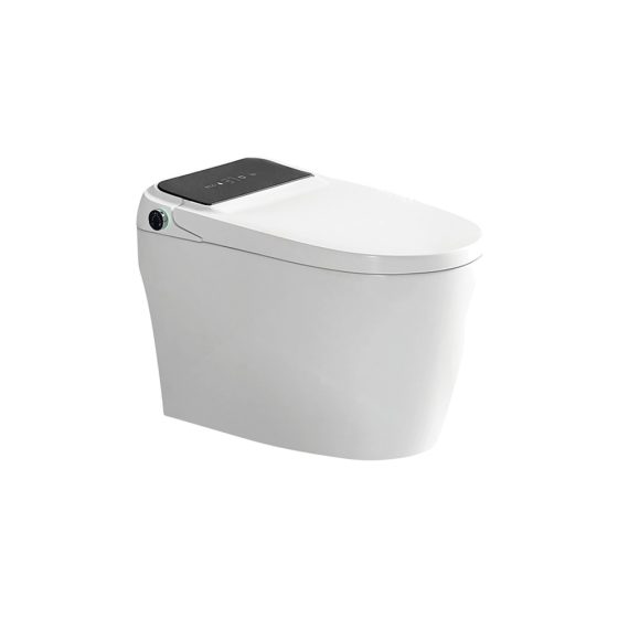 LT-TO-1044-C patterned smart-toilets