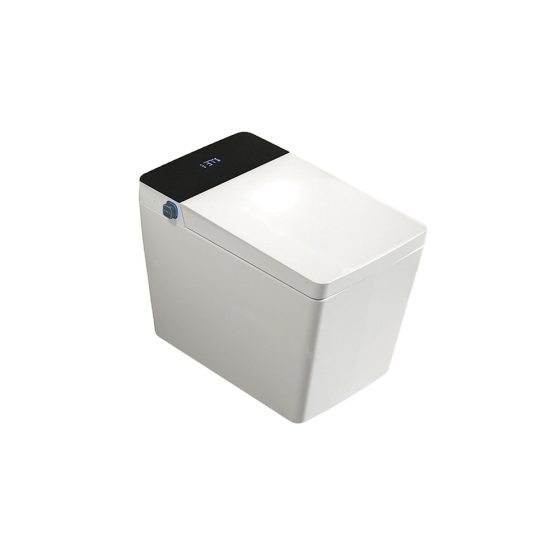 LT-TO-1047-B-WBL patterned smart-toilets