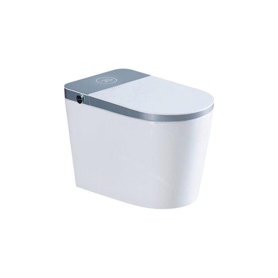 LT-TO-1051-WD-GR white smart-toilets