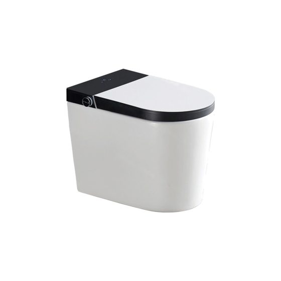 LT-TO-1052-D-BLE patterned smart-toilets