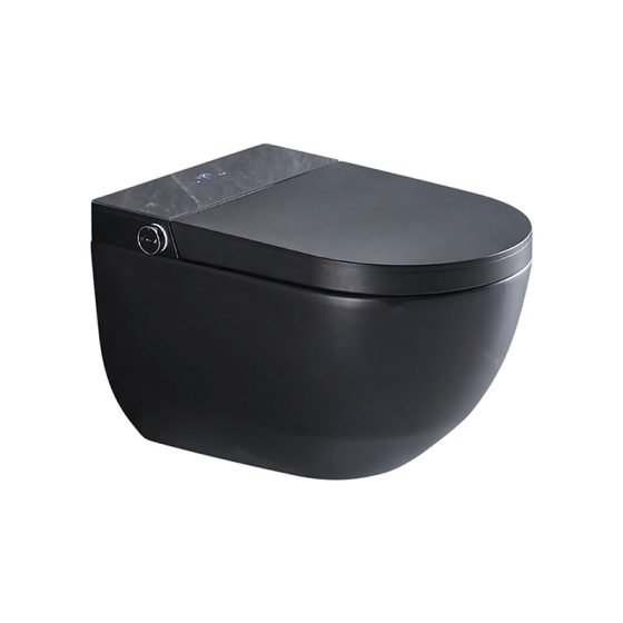 LT-TO-1059-WC-BL black smart-toilets