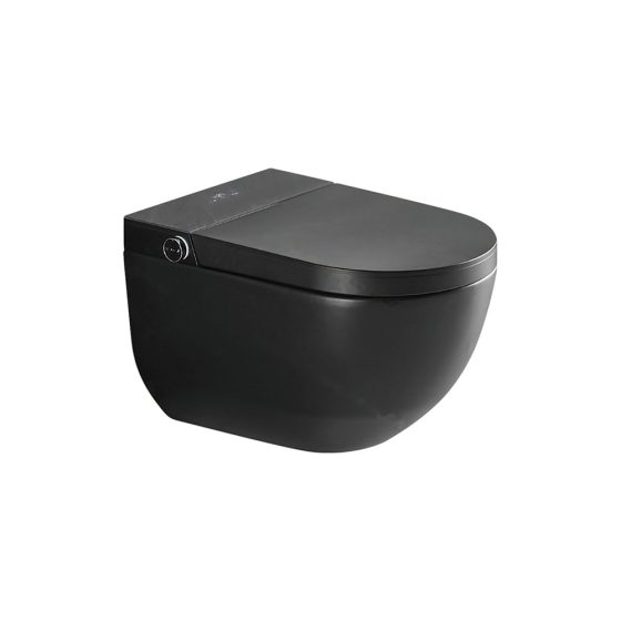 LT-TO-1060-C-BL black smart-toilets