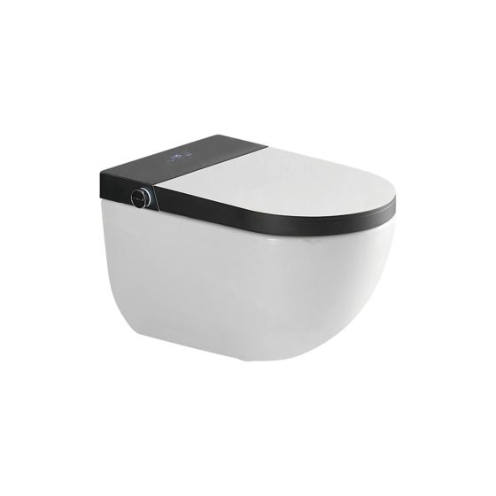 LT-TO-1060-C-WBL patterned smart-toilets