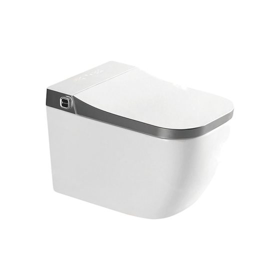 LT-TO-1063-WB-GR white smart-toilets